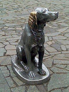 Прикрепленное изображение: 240px-Belyjbim1.jpg